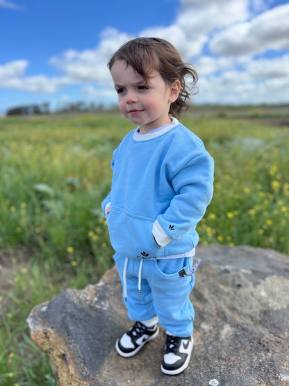 Child in a blue outfit standing on a rock with a grassy field and blue sky in the background